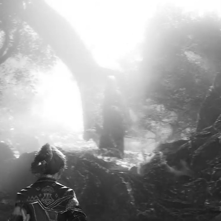 The Phantom of the Monolith
