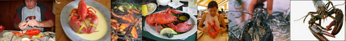 [American] アメリカ人, アメリカン, 米 / [lobster] ロブスター, 伊勢海老, イセエビ