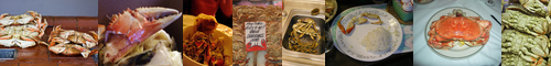[Dungeness]  / [crab] 蟹, カニ, 蠏