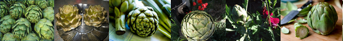 [artichoke] アーティチョーク, 朝鮮薊, アーティチョウク, チョウセンアザミ