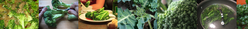 [broccoli] ブロッコリ, ブロッコリー, ブロコリ, 緑花野菜, 芽花野菜