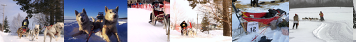 [dogsled] 犬橇