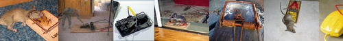 [mousetrap] ネズミ捕り, 鼠取り, ねずみ取り, 鼠捕り, ねずみ捕り, ネズミみとり, ねずみおとし, ねずみとり, ネズミとり, 鼠落し