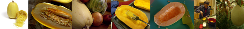 [spaghetti squash] キンシウリ, そうめんカボチャ, ソウメンカボチャ, 素麺南瓜